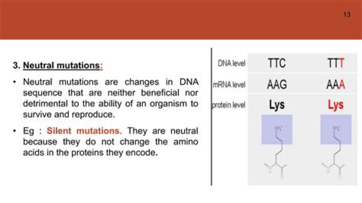 Are synonymous mutations neutral?