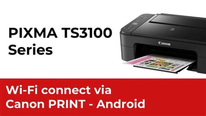 How do I setup my ts3100 printer?