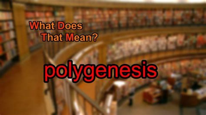 What does polygenesis mean?