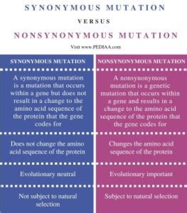 What is a synonymous mutation?