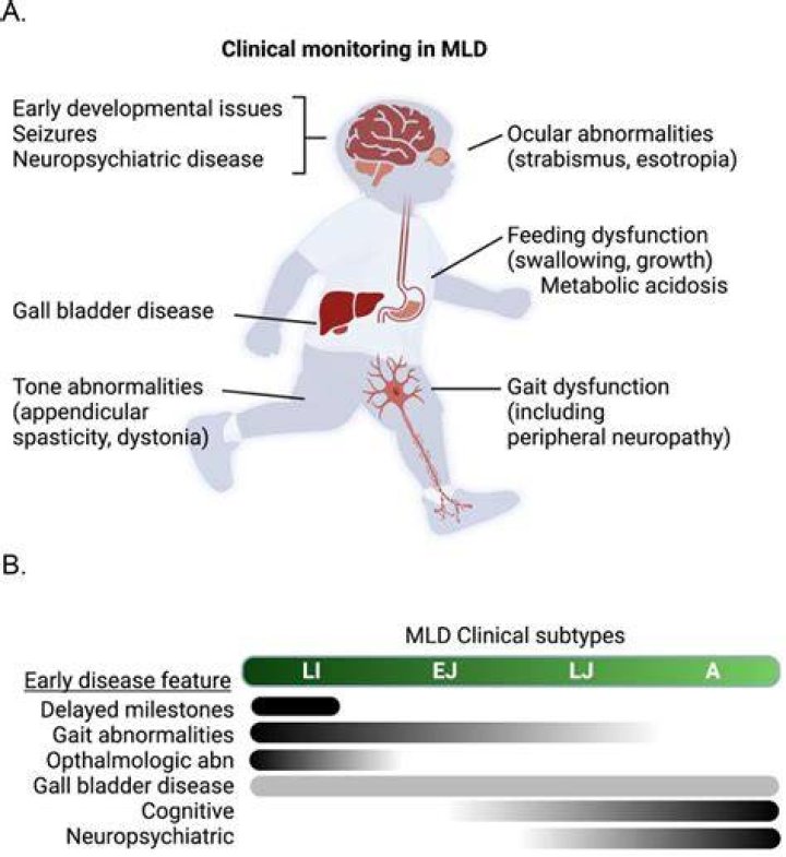 Why does leukodystrophy occur?